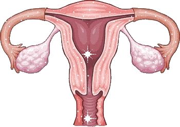 sindrome ovario